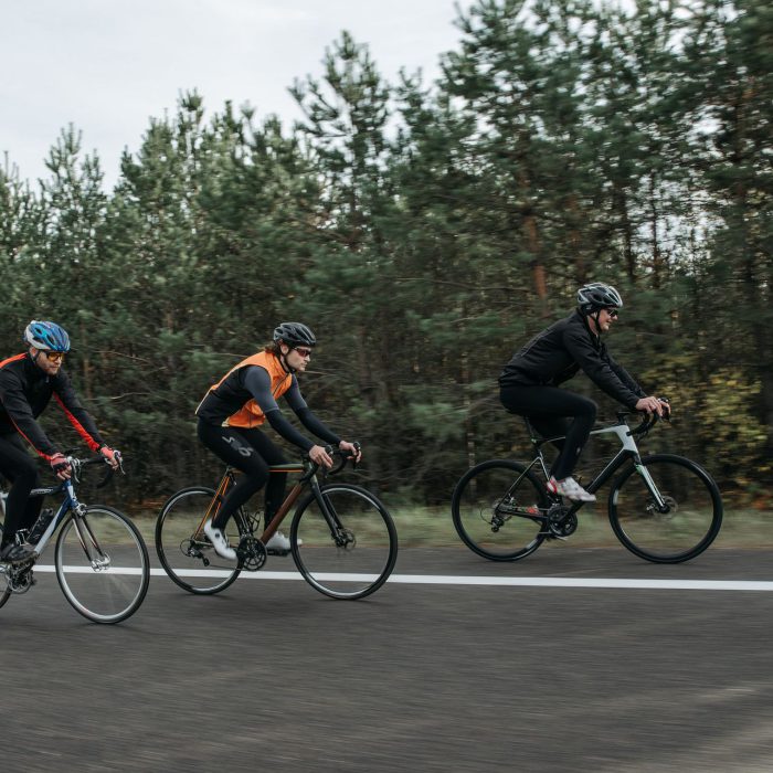 Cyklister på landevej gennem skov