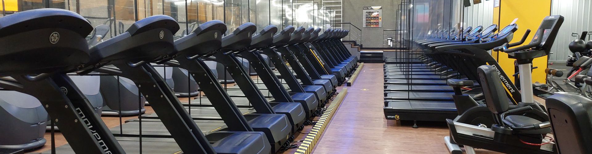 VO2 max
