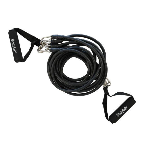 Elastic Home Trainer